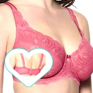 Nwt Paramour by FELINA Peridot Lace Underwire Bra 115073